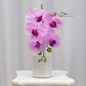 Hoa Lan cánh cao su non 5 bông thân đốmT rang Trí Nhà Cửa Hàng Văn Phòng Sự Kiện. Hoa Lụa Decor