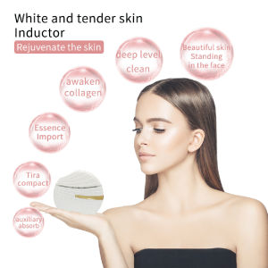 Shell Face Massager Face Lifting V Shape Slimming Facial Vibration Anti Wrinkle / Pengurut Muka