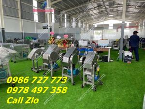 Máy xay đá muối hải sản giá rẻ tại Hải Phòng