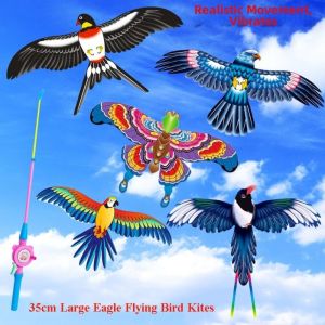 NALANILI 35cm Diều Đại Bàng Graffiti Dynamics Phim hoạt hình Nhựa Diều hình đại bàng lớn Đồ chơi tự làm Diều chim bay Thể thao ngoài trời trong vườn