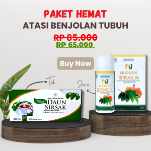 Paket Obat Benjolan Tubuh Teh Daun Sirsak Plus Mudrops Daun Sirsak Jamu Ekstrak Daun Sirsak