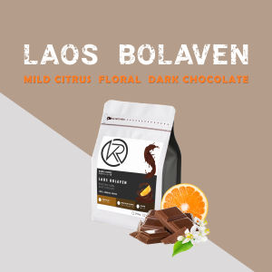 Kaori Coffee เมล็ดกาแฟคั่ว ลาว โบลาเวน 250g-1Kg. คั่วใหม่ทุกวัน