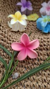 กิ๊ปติดผม รูปดอกไม้ สีสันสดใส สไตล์ฮาวาย กิ๊ปติดผมน่ารัก เที่ยวทะเล