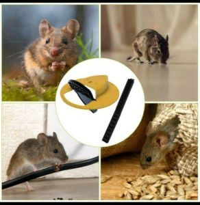 Huntermoon Jebakan Tikus Mouse Trap Reusable Flip and Slide Bucklet Lid