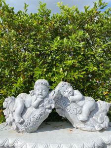 เด็กนอนเกาะขอนไม้ชายหญิงติดกระถางคู่