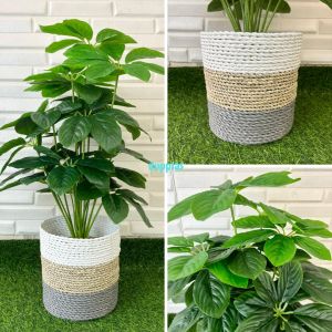 Pohon Artificial Tanaman Hias Anubias Hijau X18 Semilatex Cover Pot Anyaman Seagrass Variasi Warna Dekorasi Rumah