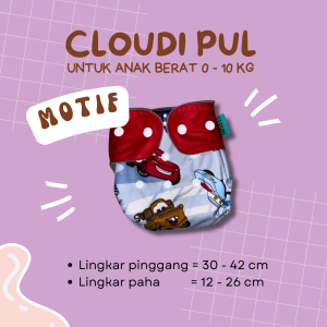 Clodi Popok Kain Bayi Cuci Ulang Cloudy Model Pocket Waterproof Merk Cloudi PUL Motif Reguler
