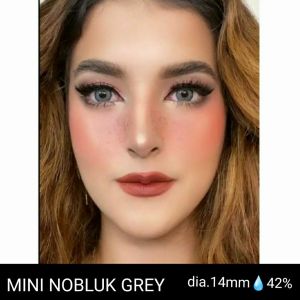 SOFTLENS MINI NOBLUK GREY. NORMAL/MINUS. ORIGINAL MADE IN KOREA.