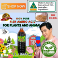 Fish Amino Acid(FAA) with Pure Molasses (1000ML) - Foliar Fertilizer FISH AMINO ACID FOR PLANTS, ANIMALS with PROBIOTICS. FREE RICE HULL. 
