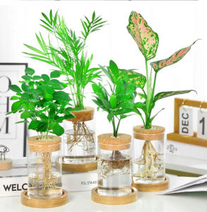 Hydroponic Vase Plastic Propagation Pot Automatic Water Absorption Plant Pot Transparent Plant Flower Bottle Cork Plant Pot Tabletop Decor