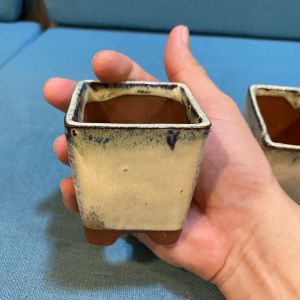 Chậu mini vuông xanh rêu trắng - Size ( Dài x Rộng x Cao) - 6 x 7 cm