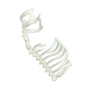 Hợp thời trang nhẫn có thể điều chỉnh trưng bày cột sống thiết kế kết cấu hợp kim GOTHIC cho người lớn trẻ tuổi tìm kiếm cá tính