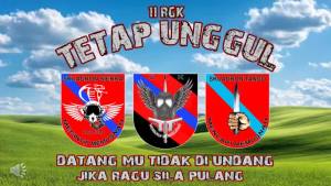 Tshirt Casual Design Style 11RGKTeam dari Microfiber