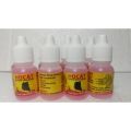 Hocat Obat Penurun Demam Panas Pada Kucing. 