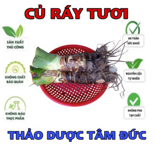 1kg củ ráy tươi hữu cơ