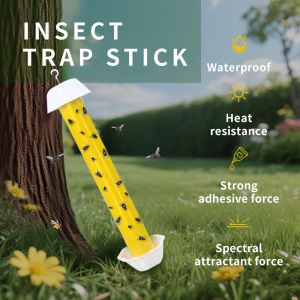 3-Pack Strong Sticky Insect Traps Fruit Fly Catcher for Home & Kitchen Special for Fruit Flies/Gnats/Drain Flies Hanging Design