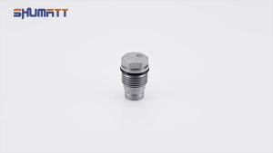 NEW 1PCS 1110010013 Common Rail Pressure Relief Valve Pressure Limiting Valve China Made New