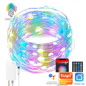 (Local Stock) Tuya WIFI Fairy Light/ Angel Light USB Lights App Remote Control Music Sync RGB LED String Lights