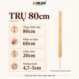 Trụ Xơ Dừa ANKAN Có Khớp Nối 60cm 80cm Cọc Đỡ Cây Leo Trầu Bà Trong Chậu