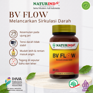 Obat Tradisional Herbal Penyumbatan Darah Kesemutan Kebas Pelancar Peredaran Darah BV Flow Naturindo