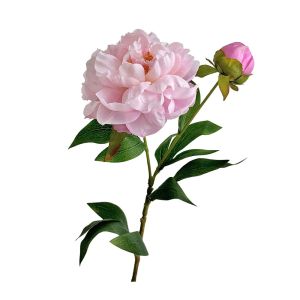 Q-1151 STORE Silk Cloth Artificial Peony Bouquet Lifelike 2 Head Peony Flower Bundle DIY Artificial Flower Photography Prop
