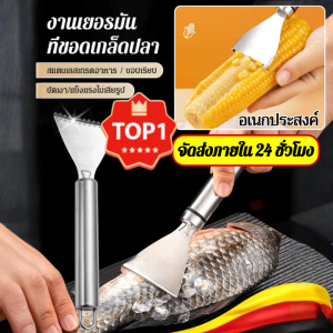 ⚡ จัดส่งภายใน 24 ชั่วโมง ⚡ที่ขอดเกล็ดปลาสแตนเลส 🔥เครื่องขูดเกล็ดสแตนเลสในครัวเรือน เครื่องไสเกล็ดปลาแบบแมนนวลพร้อมตะขอ เครื่องมือในครัว💕 รีวิวดี 100%💕🥇 ซื้อ 1 แถม 1🥇