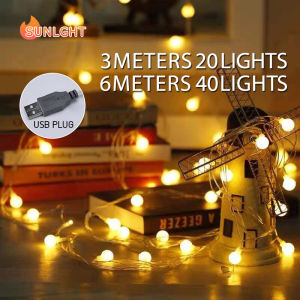 3M 6M LED USB Micro String Christmas Lights Fairy decor Home Decoration Wedding Party Decor Fairy Lights USB Plug
