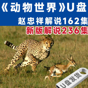 动物世界海底世界纪录片u盘高清视频看戏机车载优盘U盘赵忠祥USBAnimal World Underwater World Documentary USB HD Video Watching Machine Car USB USB Zhao Zhongxiang