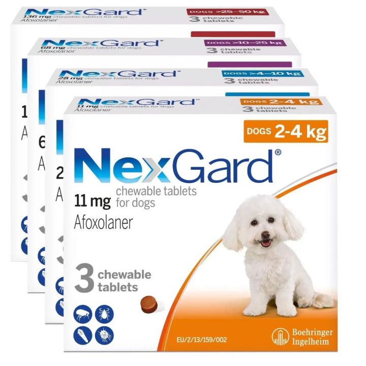 Nexgard and Nexgard Spectra Anti Ticks and Fleas Treatment Chewable Tablet 1x for Dogs and