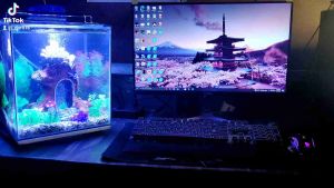 Log House Large Size