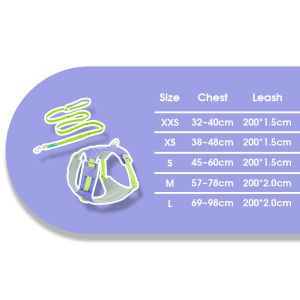 HamshMoc Pet Walking Set 360° Rotation Adjustable Handle LED Light Slot Alloy D Ring Outdoor Safety