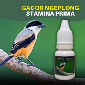 Vitamin Burung Cendet Premium Macet Bunyi Agar Gacor