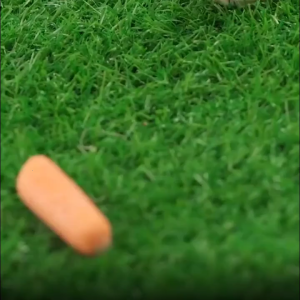 2Pcs 3D Easter Bunny Chocolate Silicone Mold 6 and 2 Cavity Rabbit Shape DIY Mousse Cake Dessert Fondant Baking Mould