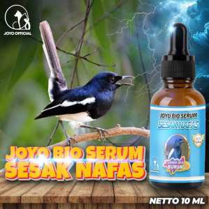 OBAT SESAK NAFAS BURUNG | GANGGUAN SALURAN PERNAFASAN BURUNG | BIO SERUM SESAK NAFAS
