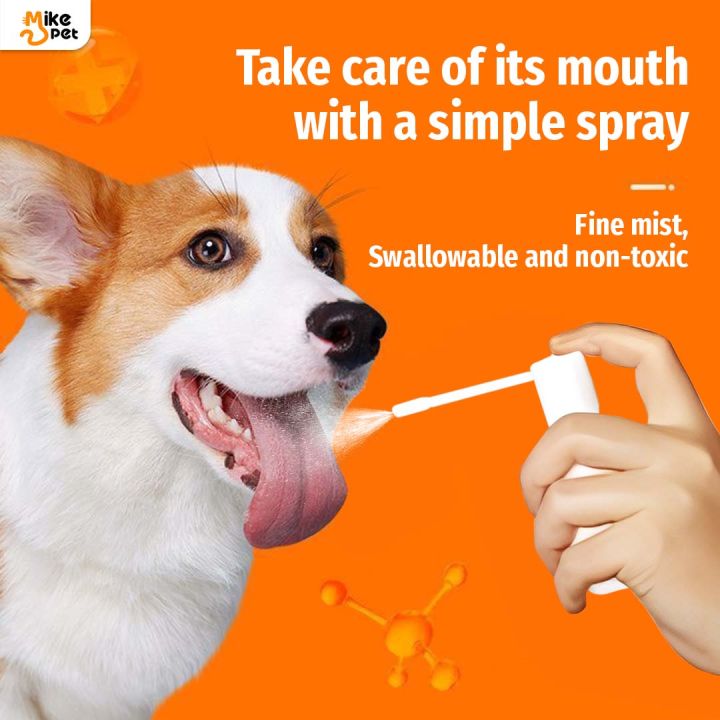 Cassiel%20Pet%20Oral%20Spray%20Dog%20Oral%20Care%20Bad%20Breath%20Teeth%20Cleaning%20Breath%20Freshener%20Plaque%20Remover%2030ml%20-%20Image%204