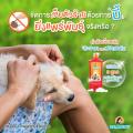 BEARING Tick & Flea Dog Shampoo แชมพูกำจัดเห็บหมัดสุนัข แชมพูอาบน้ำสุนัข ขจัดกลิ่นสาบ ป้องกันเห็บ หมัด 600ml. 