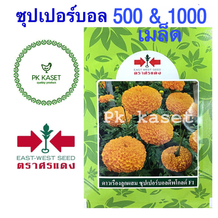 เมล็ดพันธุ์ศรแดง ดาวเรือง ซุปเปอร์บอลดีพโกลด์ F1 ดอกกลม