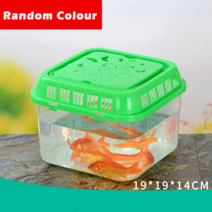 Acrylic Aquarium Fish Turtle Tortoise Tank (Assorted Colours) Hamster Carrier (Tank Only Animal not Inclusive)