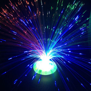Multicolor Glowing Optic Fiber Flower LED Night Light Home Bar Cafe Decor Lamp