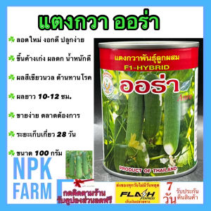 แตงกวา ออร่า 10/2569 ขนาด 100 กรัม เมล็ดพันธุ์ ลอตใหม่ ปลูกง่าย งอกดี ขึ้นค้างเก่ง ผลดกสวย เขียวนวล ผลดกสวย ทรงกระบอก ผลยาว 10-12 cm. อายุเก็บเกี่ยว 28 วัน