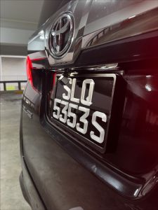 Frosted Ice 3D Printed Number Car Plate - Personalized License Plate for Vehicles