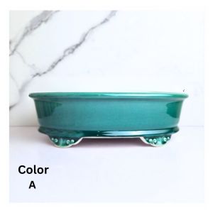 The Leaferie Bonsai Pot / Tray (Series 60) Oval Plant pot Ceramic Flowerpot Flower pots