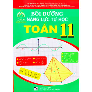 Sách - Bồi dưỡng năng lực tự học Toán 11