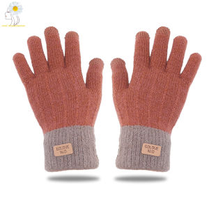 Winter Warm Knitted Full Finger Gloves Women Imitation Cashmere Thick Plush Touchscreen Mittens Outdoor Cycling Driving Gloves