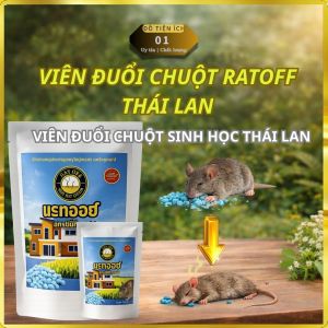VIên diệt chuột Ratoff tại nhà - Giải pháp kiểm soát chuột trong nhà kho xưởng dễ sử dụng