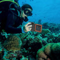 Shellbox Waterproof Phone Case Shellbox Diving 15m Universal Vivo Xiaomi Samsung Oppo Iphone. 