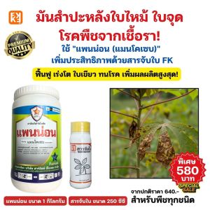 กำจัดเชื้อรา โรคใบไหม้ ใบจุด ในมันสำปะหลัง แพนน่อน(แมนโคเซป) + สารจับใบ FK เพิ่มประสิทธิภาพการดูดซึม