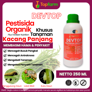 Obat Hama Kacang Panjang / Obat Hama Semut Kacang Panjang / Obat Hama Buah Kacang Panjang / Obat Hama Ulat Buah Kacang Panjang / Obat Hama Kacang Panjang / Pestisida Hama Kacang Panjang