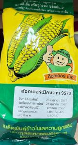 ข้าวโพดหวาน #หวาน9573  พันธุ์ใหม่