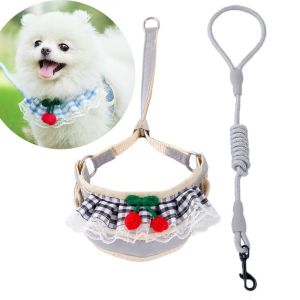 Adjustable Cat Traction Rope Pet Rabbit Series Set Small Dog Rope Dog Chest Strap